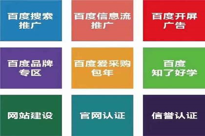 SEM广告案例：数据分析驱动营销决策